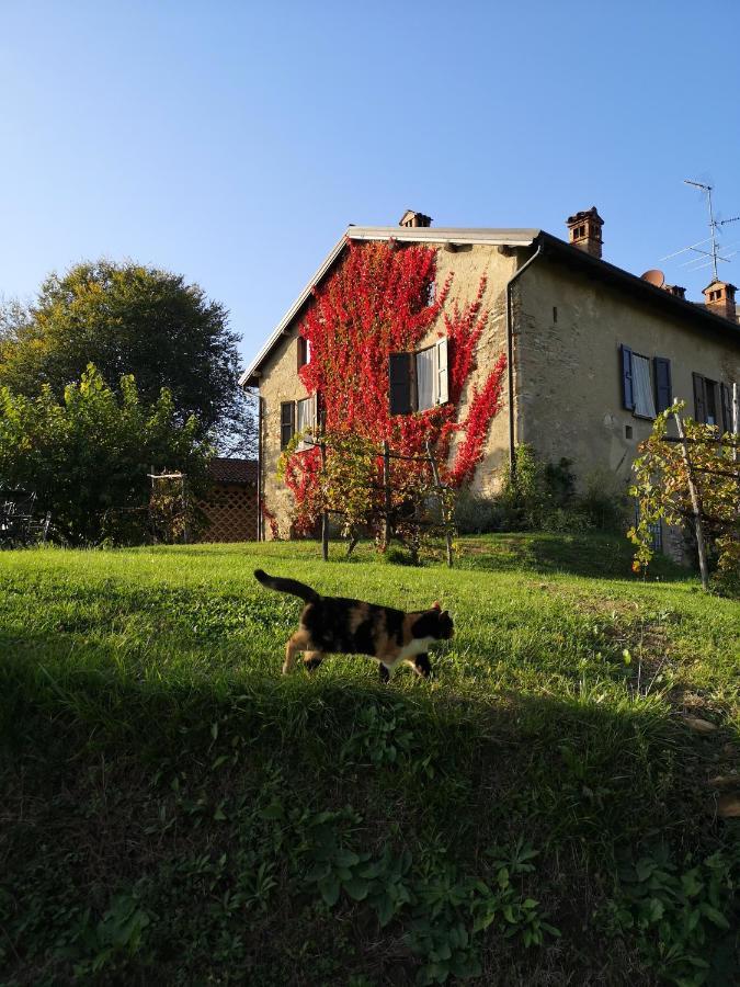 Agriturismo La Costa - Casa Vacanze Rovagnate Eksteriør bilde