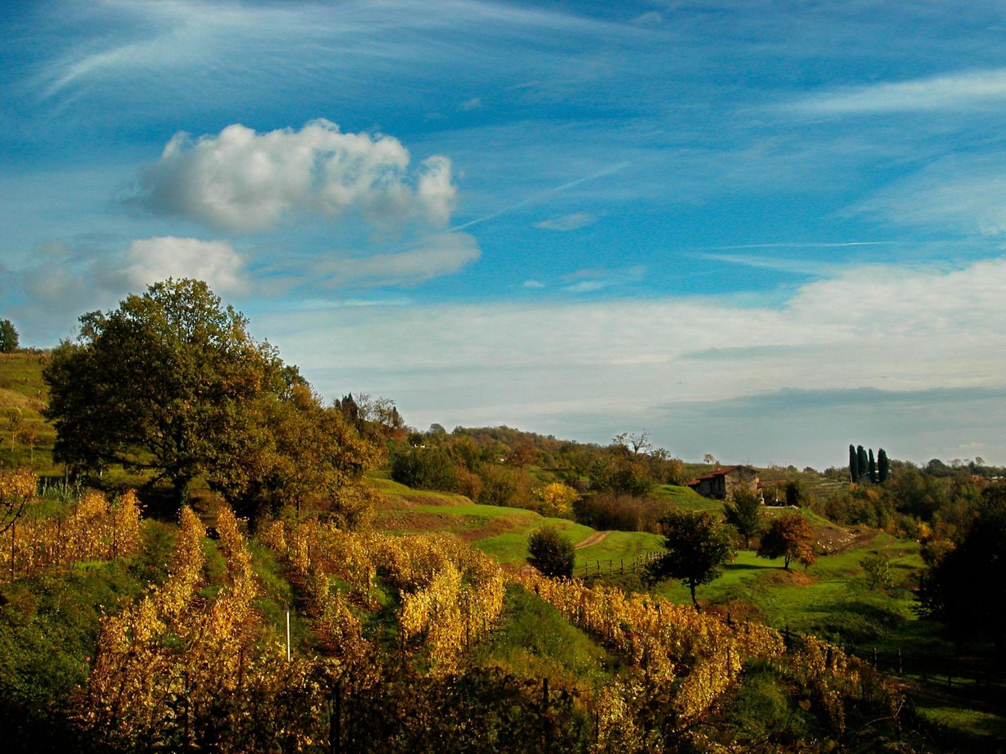Agriturismo La Costa - Casa Vacanze Rovagnate Eksteriør bilde