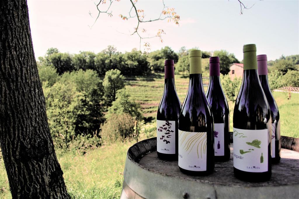 Agriturismo La Costa - Casa Vacanze Rovagnate Eksteriør bilde