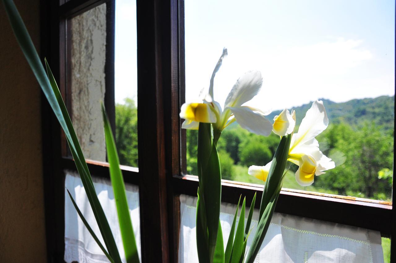 Agriturismo La Costa - Casa Vacanze Rovagnate Eksteriør bilde